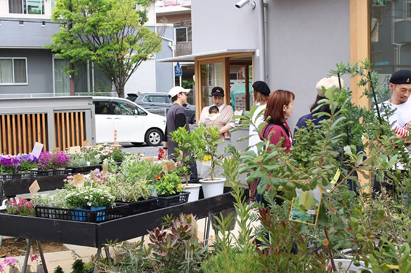 花ノ停留所花苗販売 マルシェイベント 地域で育てた季節の花苗直売
