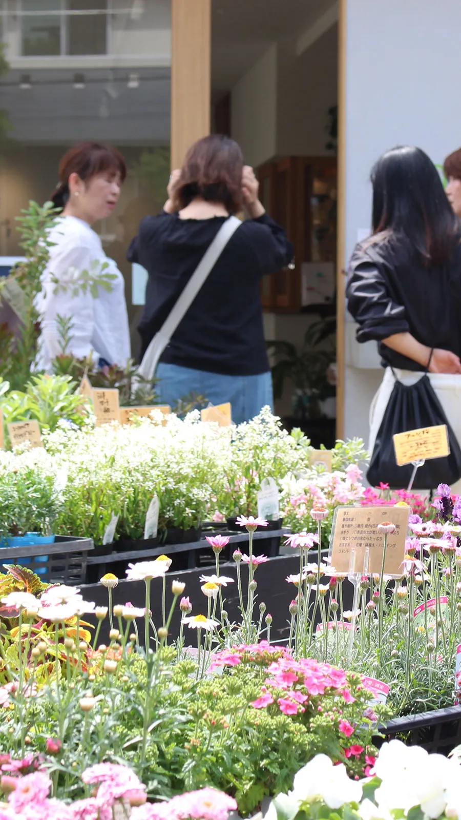 カラフルな花々が並ぶ花ノ停留所で、数人の客が植物を選んでいる様子。