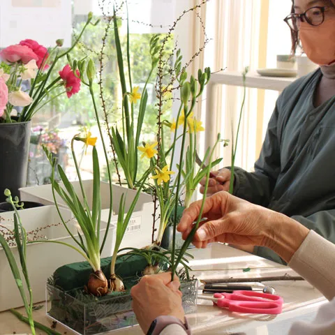 黄色い水仙を生けながら花を整える、春のアレンジメントのようす