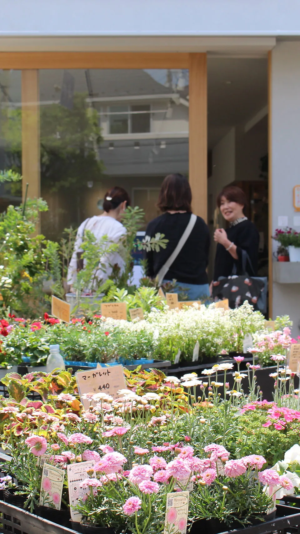 花屋「花ノ停留所 」の店内で、カラフルな植物や花が並べられ、値札がついた販売スペース。